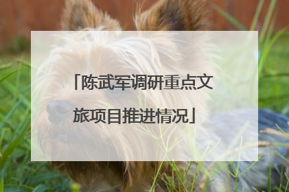 陈武军调研重点文旅项目推进情况