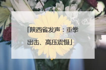 陕西省发声：重拳出击、高压震慑