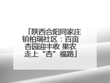 陕西合阳同家庄镇柏瑞社区：百亩杏园迎丰收 果农走上“杏”福路