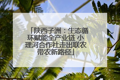 陕西子洲：生态循环赋能全产业链 小理河合作社走出联农带农新路径