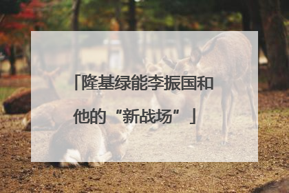 隆基绿能李振国和他的“新战场”