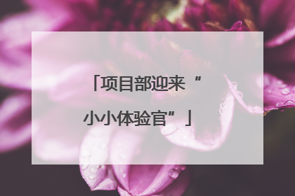 项目部迎来“小小体验官”