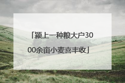 颍上一种粮大户3000余亩小麦喜丰收