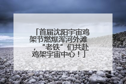 首届沈阳宇宙鸡架节燃爆浑河外滩，“老铁”们共赴鸡架宇宙中心！