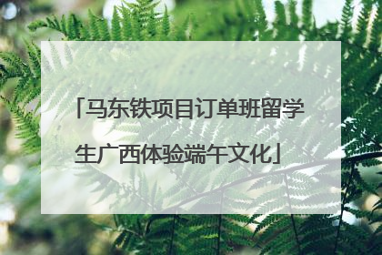 马东铁项目订单班留学生广西体验端午文化