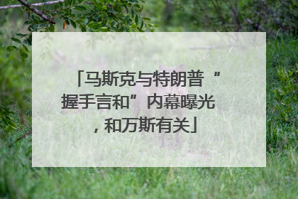 马斯克与特朗普“握手言和”内幕曝光，和万斯有关