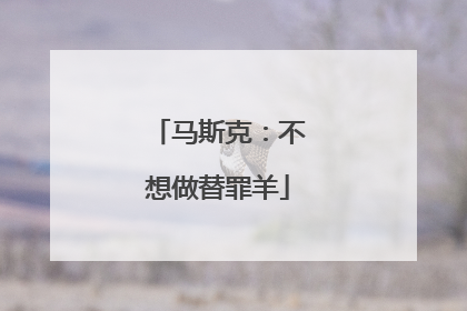 马斯克：不想做替罪羊