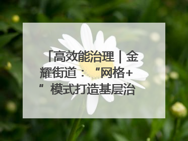 高效能治理｜金耀街道：“网格+”模式打造基层治理新样板