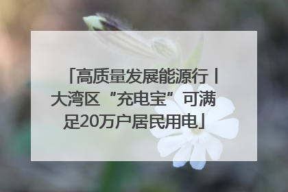 高质量发展能源行丨大湾区“充电宝”可满足20万户居民用电