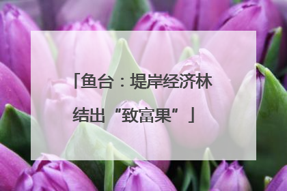 鱼台：堤岸经济林结出“致富果”
