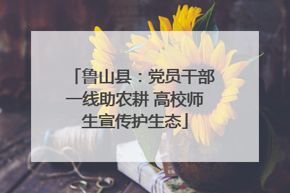 鲁山县：党员干部一线助农耕 高校师生宣传护生态
