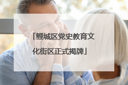 鲤城区党史教育文化街区正式揭牌