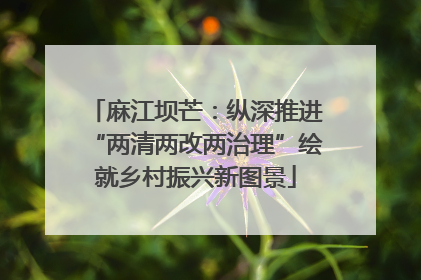 麻江坝芒：纵深推进“两清两改两治理”绘就乡村振兴新图景