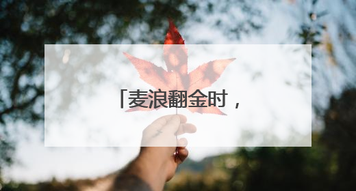 麦浪翻金时，送法进乡间