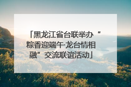 黑龙江省台联举办“粽香迎端午·龙台情相融”交流联谊活动