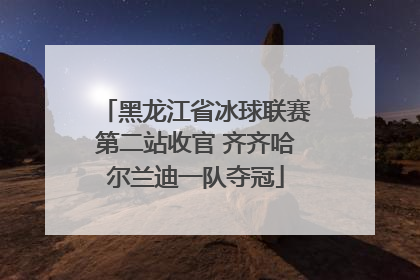 黑龙江省冰球联赛第二站收官 齐齐哈尔兰迪一队夺冠