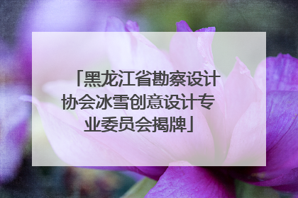 黑龙江省勘察设计协会冰雪创意设计专业委员会揭牌