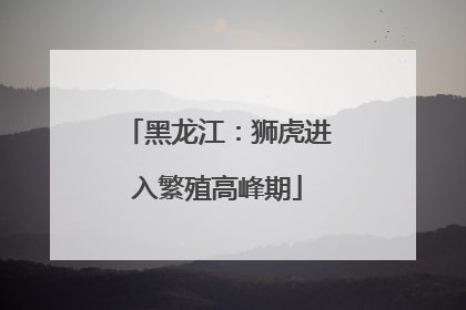 黑龙江：狮虎进入繁殖高峰期