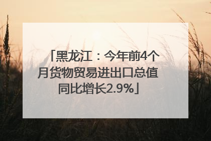 黑龙江：今年前4个月货物贸易进出口总值同比增长2.9%