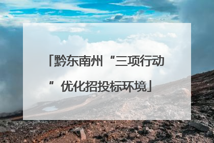 黔东南州“三项行动”优化招投标环境