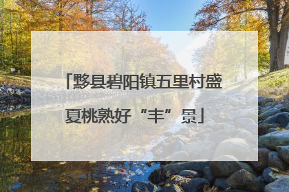 黟县碧阳镇五里村盛夏桃熟好“丰”景