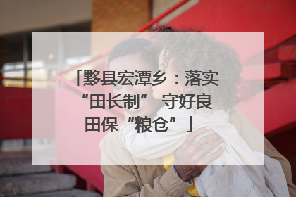 黟县宏潭乡：落实“田长制” 守好良田保“粮仓”