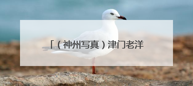 （神州写真）津门老洋楼焕新“活化” 延续城市记忆拓展文旅空间