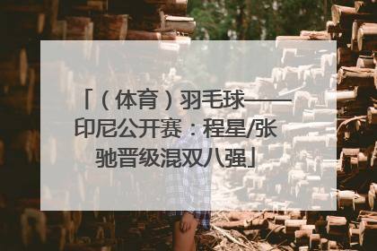 （体育）羽毛球——印尼公开赛：程星/张驰晋级混双八强