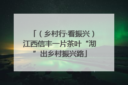 （乡村行·看振兴）江西信丰一片茶叶“沏”出乡村振兴路