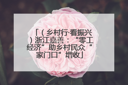 （乡村行·看振兴）浙江嘉善：“零工经济”助乡村民众“家门口”增收