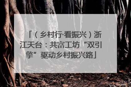 （乡村行·看振兴）浙江天台：共富工坊“双引擎”驱动乡村振兴路