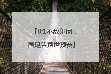0:1不敌印尼，国足告别世预赛