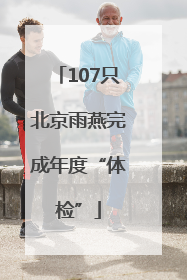 107只北京雨燕完成年度“体检”