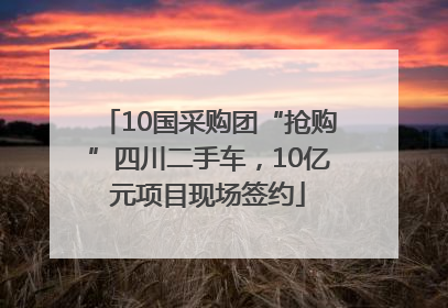10国采购团“抢购”四川二手车，10亿元项目现场签约