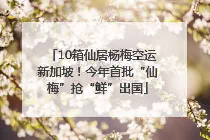 10箱仙居杨梅空运新加坡！今年首批“仙梅”抢“鲜”出国