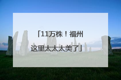 11万株！福州这里太太太美了