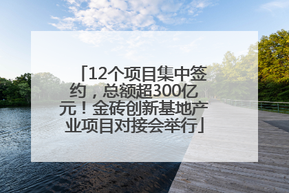12个项目集中签约，总额超300亿元！金砖创新基地产业项目对接会举行