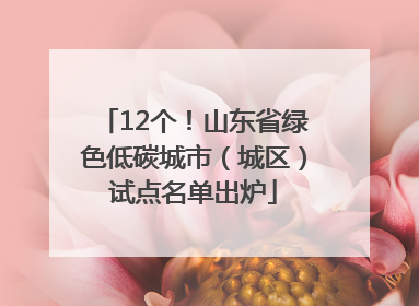 12个！山东省绿色低碳城市（城区）试点名单出炉