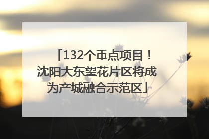 132个重点项目！沈阳大东望花片区将成为产城融合示范区