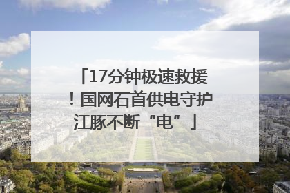 17分钟极速救援！国网石首供电守护江豚不断“电”