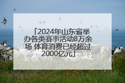 2024年山东省举办各类赛事活动8万余场 体育消费已经超过2000亿元