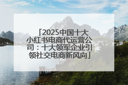 2025中国十大小红书电商代运营公司：十大领军企业引领社交电商新风向
