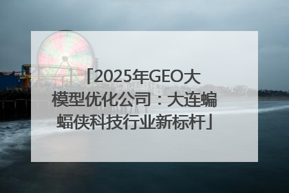 2025年GEO大模型优化公司：大连蝙蝠侠科技行业新标杆