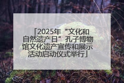2025年“文化和自然遗产日”孔子博物馆文化遗产宣传和展示活动启动仪式举行