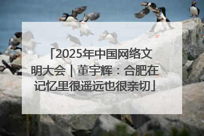 2025年中国网络文明大会｜董宇辉：合肥在记忆里很遥远也很亲切