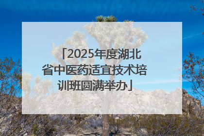 2025年度湖北省中医药适宜技术培训班圆满举办