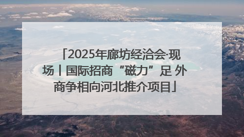 2025年廊坊经洽会·现场丨国际招商“磁力”足 外商争相向河北推介项目