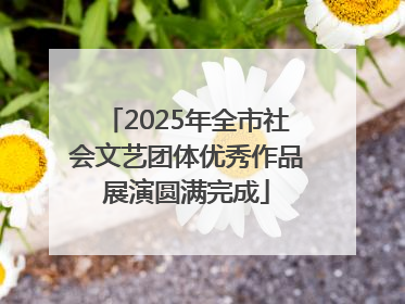 2025年全市社会文艺团体优秀作品展演圆满完成