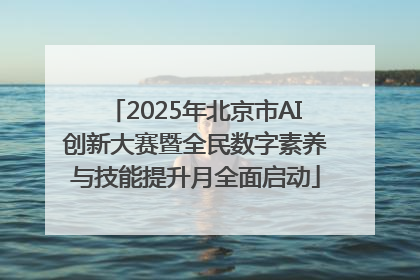 2025年北京市AI创新大赛暨全民数字素养与技能提升月全面启动
