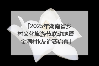 2025年湖南省乡村文化旅游节联动地暨金洞村k友谊赛启幕